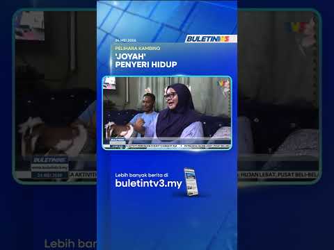 PELIHARA KAMBING | 'Joyah' Penyeri Hidup Pasangan Suami Isteri thumbnail
