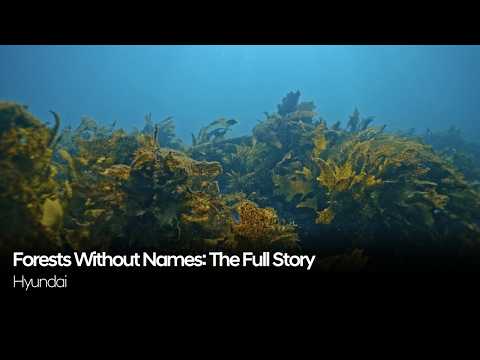 Forests Without Names: The Full Story | Hyundai thumbnail