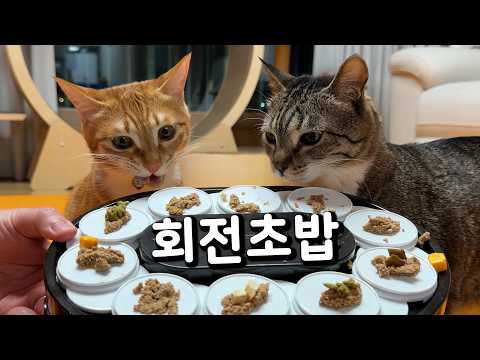박춘봉 초밥 먹튀함;; thumbnail