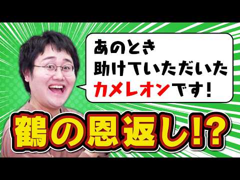 【あのときの】助けた動物が恩返しにヒントをくれるクイズ【鶴です】 thumbnail