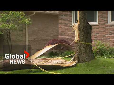 Severe storms leave widespread damage across London, Ont. thumbnail