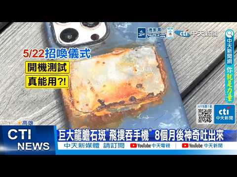【每日必看】 巨大龍膽石斑"飛撲吞手機" 8個月後神奇吐出來 20260520 thumbnail