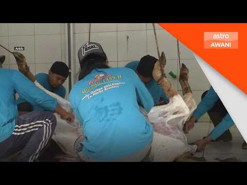 Daging penting untuk otot & saraf, tetapi kena seimbang - Pakar thumbnail