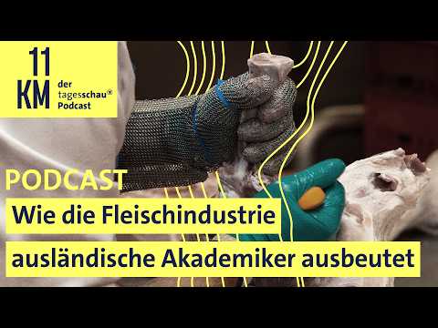 Wie die Fleischindustrie ausländische Akademiker ausbeutet I 11KM - der tagesschau-Podcast thumbnail