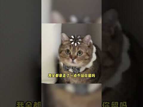 所有人留下一条语音，留我一个人笑死 #胡彦斌  #你要的全拿走  #评论区  #搞笑 #万万没想到 #离谱 thumbnail