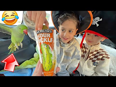 الببغاء اكل المنتجات الغريبة وخرب عليهم كلشي 😂 يوم كامل داخل السياره thumbnail