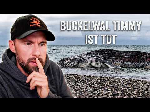 Mein wirklich allerletztes Video zum Buckelwal thumbnail
