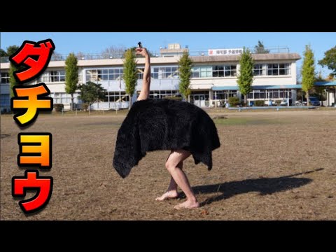 学校にダチョウが現れるドッキリが面白すぎた【恐怖】 thumbnail