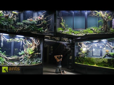 Planning The Connection of All My Vivariums Together thumbnail