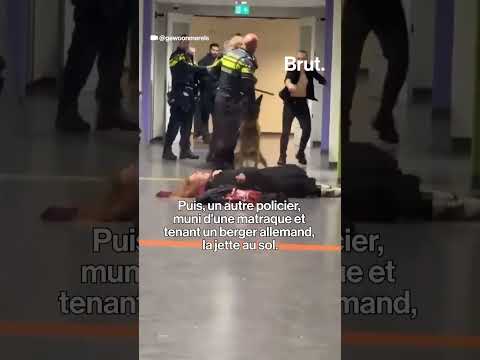 Une femme enceinte victime de violences par la police néerlandaise. thumbnail