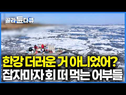 한강 더럽다는 건 옛말. 한강 고기는 더 쫄깃하다! 직접 잡아 회 떠먹는 어부들 근황｜한국기행｜#골라듄다큐 thumbnail