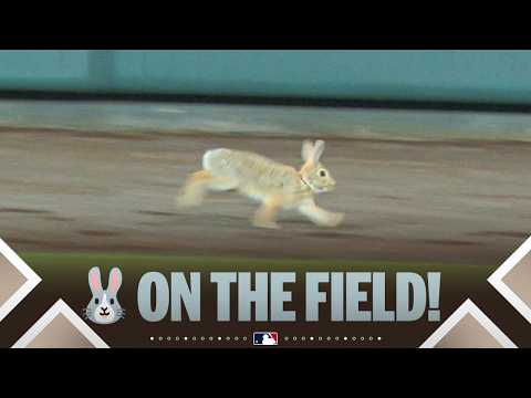 RALLY BUNNY ON THE FIELD! 🐰 | MLB Highlights (Giants vs. Rockies) thumbnail