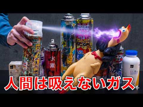 びっくりチキンを人間は吸えないガスで苦しめてみた結果 thumbnail
