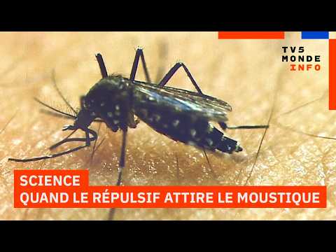 Science : Une étude montre que le moustique pourrait être attiré par les répulsifs thumbnail