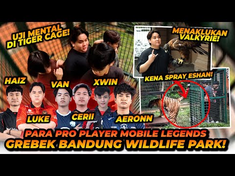 BTRP UJI MENTAL MASUK KANDANG HARIMAU! SAMPE ADA YANG DI KENCINGIN HARIMAU!? thumbnail