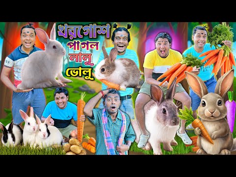 খরগোশ পাগল ছেলে 🐇🐇|| লালু ভোলুর খরগোশ 🥕🫜|| khorgosh pagol chele 🐰🐰|| Rabbit new comedy || laluvolu thumbnail