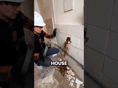 He Bought an Old House and Found This Hidden in the Wall thumbnail