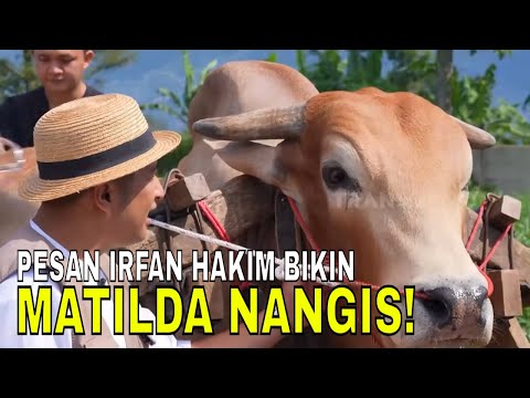 Diajak Bicara Irfan Hakim, MATILDA Sapi Gerobak Nangis! | FYP (27/05/26) Part 2 thumbnail
