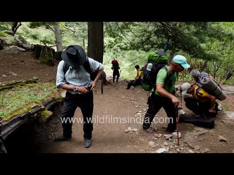 Harsil Valley trek | Hiking through dense Pine forests and remote trails thumbnail
