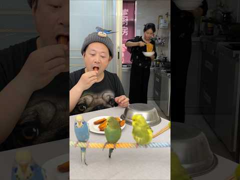 老公吃了给我的鸡蛋他非常懊恼🤣平平淡淡一餐饭😘🥰美食美味 thumbnail