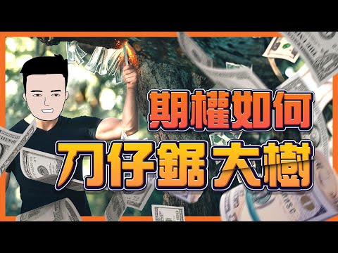 【投資新手101】10分鐘教學認識期權！ thumbnail