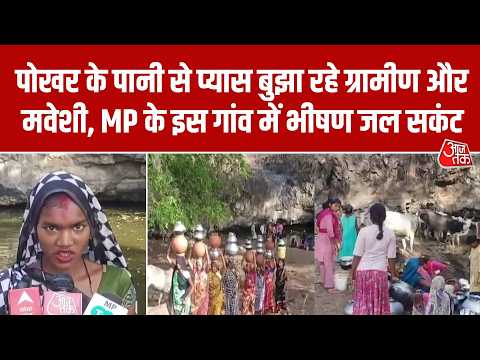 MP Water Crisis: Umaria के गाजर गांव में भीषण जल संकट! पोखर के पानी से प्यास बुझा रहे ग्रामीण thumbnail