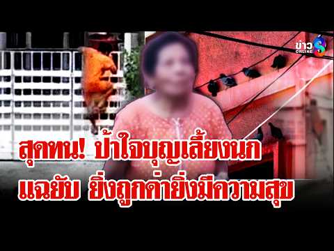วีรกรรมสุดยี้! "ป้านกพิราบ" บุกบ้านปาขี้แมว เพื่อนบ้านสงสัยเป็นคนแก่ขี้เหงา | ลุยชนข่าว | 27 พ.ค. 69 thumbnail