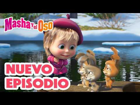 🐰 Masha sabe lo que te conviene 🍼 NUEVO EPISODIO 🐻👧 Masha y el Oso Castellano thumbnail