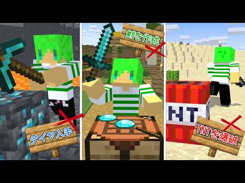 法律を無視したら即死する世界でサバイバル【マインクラフト】 thumbnail