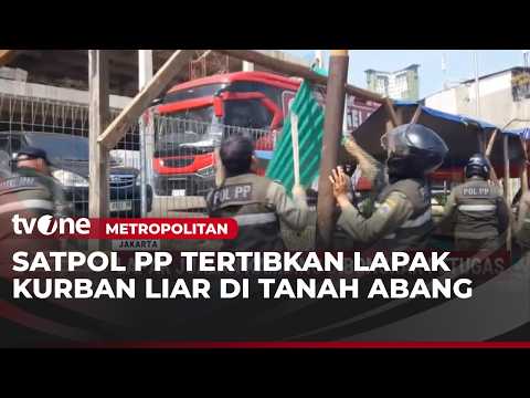 Lapak Jualan Hewan Kurban di Trotoar Dibongkar Paksa | Metropolitan thumbnail