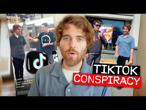 TikTok Conspiracy Investigation thumbnail