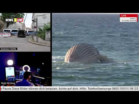 LIVE: NEWS UPDATE -  Wal vor Dänemarks Küste / Explosion Görlitz thumbnail
