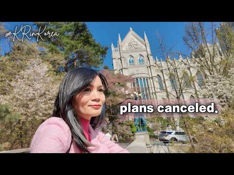 I had no plans but Kyunghee University surprised me 🩷 thumbnail