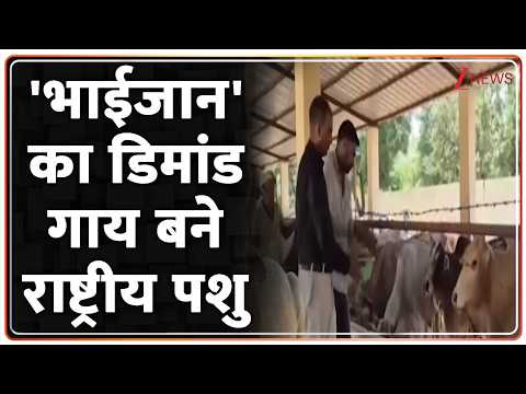 Breaking news: 'भाईजान' का डिमांड गाय बने राष्ट्रीय पशु thumbnail