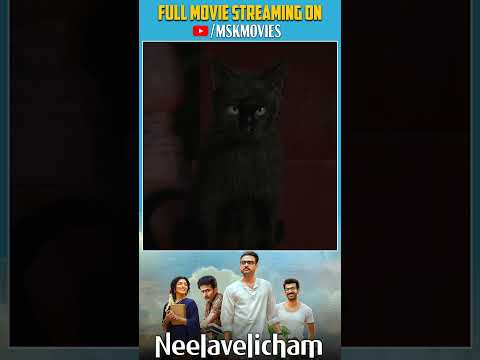 Unexpected Horror Moment 😱 | Watch #Neelavelicham Horror Tamil Movie | #TovinoThomas #MSKMovies thumbnail