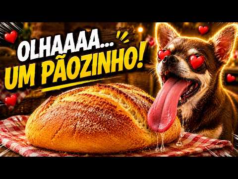 PÃOZINHO CASEIRO PET - UM PIQUENIQUE FOFO NO QUINTAL! thumbnail