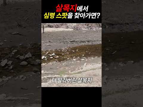 화제의 '살목지' 에서 란더노티카를 해본다면? thumbnail