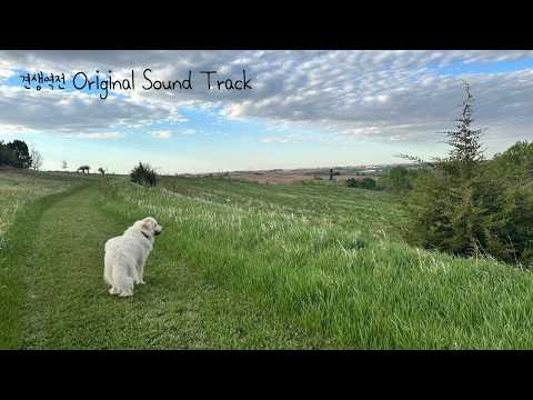 견생역전 Original Sound Track thumbnail
