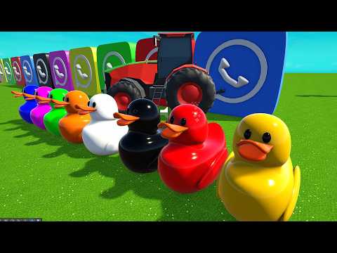 Colorful Ducks and Colorful Tractors and Construction Vehicles - Traktor for Kids and Kinder thumbnail