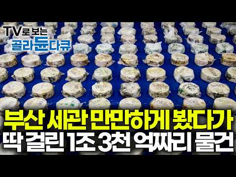 세관이 뚫릴 줄 알고 밀수 시도했다가 이렇게 됐다. 부산으로 들어온 수상한 컨테이너 박스 뜯어봤더니│극한직업│#골라듄다큐 thumbnail