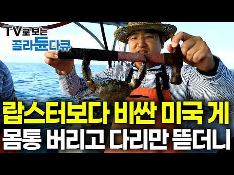 미국인들이 랍스터 대신 환장하고 먹는다는 줄 서서 먹는 최고급 해산물의 정체｜미국 플로리다 스톤크랩｜세계테마기행｜#골라듄다큐 thumbnail