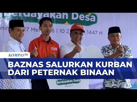 Baznas Gelar Program Kurban Berkah di 103 Titik Balai Ternak di Indonesia | SAPA PAGI thumbnail