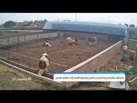 نهاية العالم؟ وحش ترابي يغطي السماء ويخفي مدينة كاملة! - المشهد تاغ thumbnail