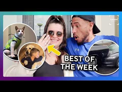 The Best Videos On The Internet This Week thumbnail