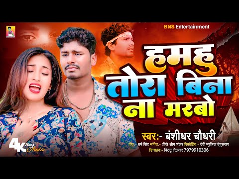 हमहु तोरा बीन ना मरबो | #Banshidhar Chaudhary Ka Gana | Hamhu Tora Bina Ne Marbo | Sad Song 2025 thumbnail