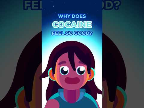 Why Does Cocaine Feel So Good? thumbnail