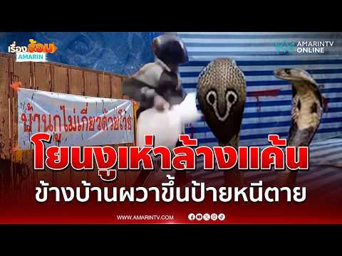 โยนงูเห่าล้างแค้น ลามป่วนข้างบ้านจนต้องขึ้นป้ายหนีตาย | เรื่องร้อนอมรินทร์ thumbnail