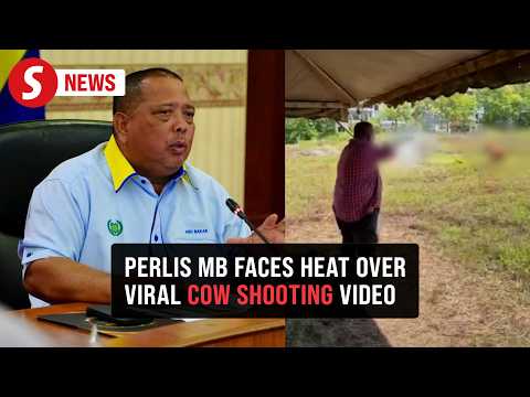 Police to call in Perlis MB over cow-shooting video thumbnail