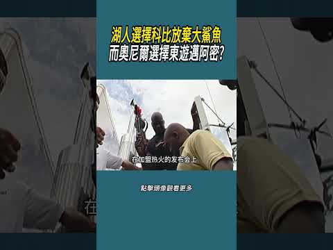 湖人選擇科比放棄大鯊魚，而奧尼爾選擇東遊邁阿密?#體育  #nba #籃球 thumbnail