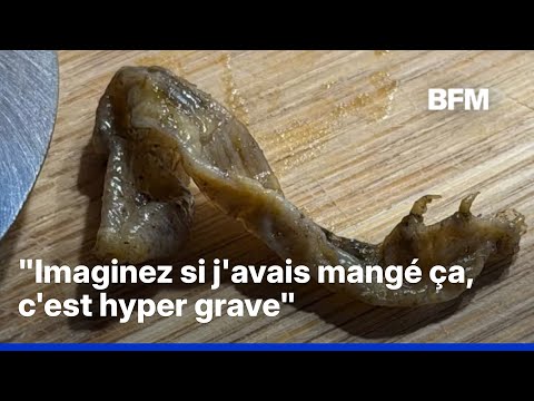 Elle trouve une patte d’animal dans une boîte de petits pois, Lidl mène l’enquête thumbnail
